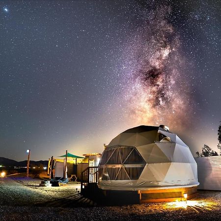 The Kosmic Tortoise Otel Twentynine Palms Dış mekan fotoğraf