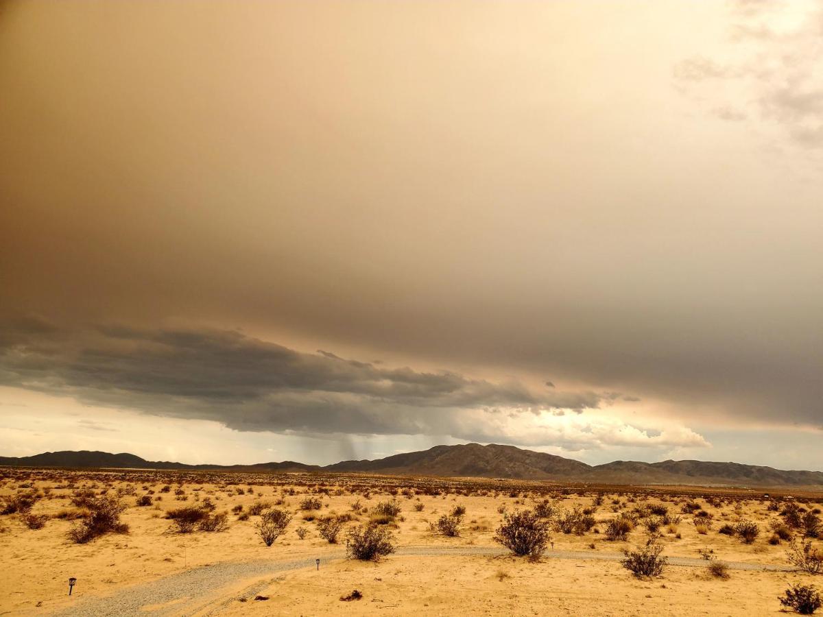 The Kosmic Tortoise Otel Twentynine Palms Dış mekan fotoğraf