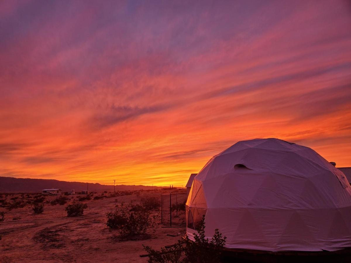 The Kosmic Tortoise Otel Twentynine Palms Dış mekan fotoğraf