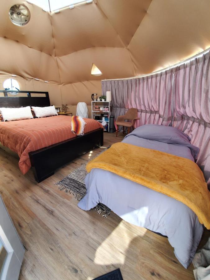 The Kosmic Tortoise Otel Twentynine Palms Dış mekan fotoğraf