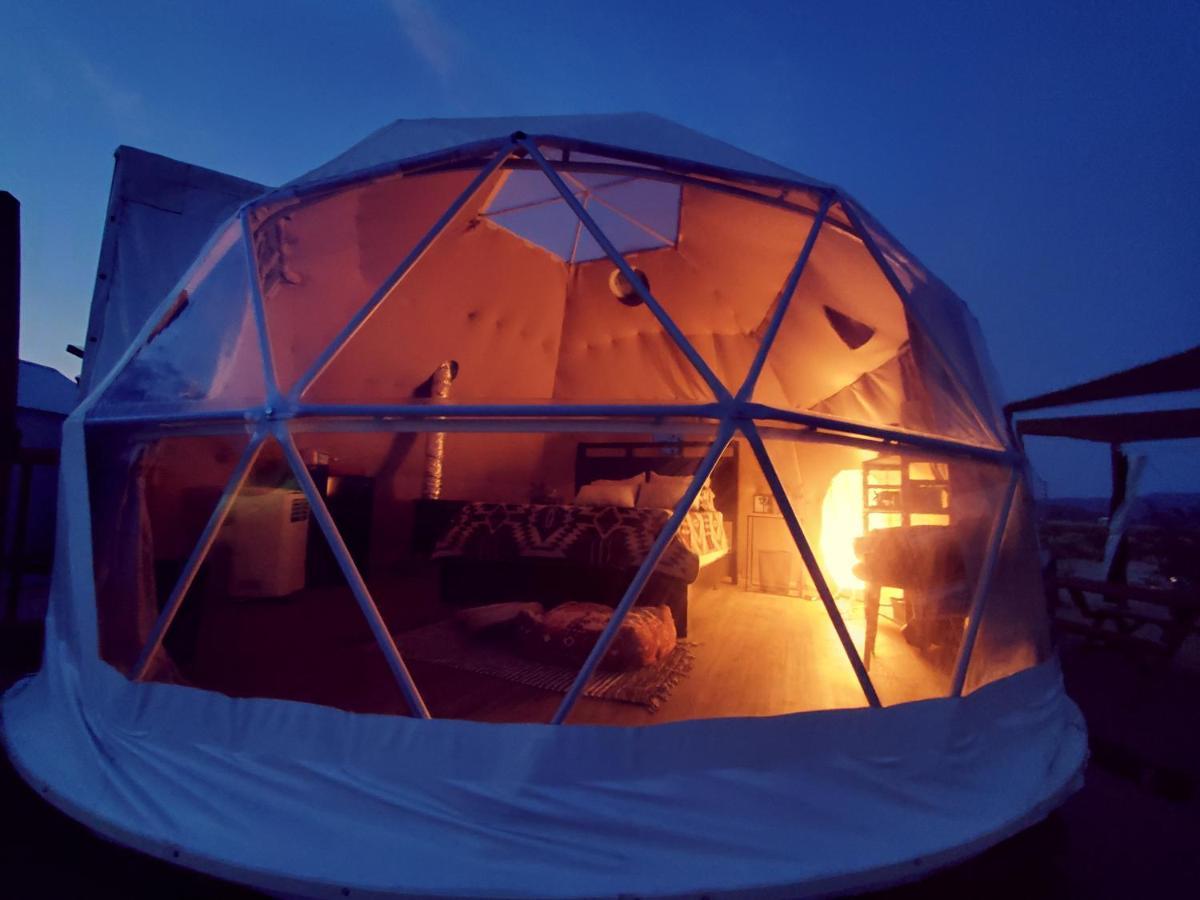The Kosmic Tortoise Otel Twentynine Palms Dış mekan fotoğraf