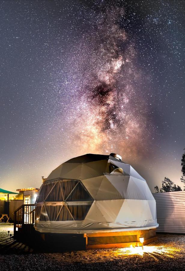 The Kosmic Tortoise Otel Twentynine Palms Dış mekan fotoğraf