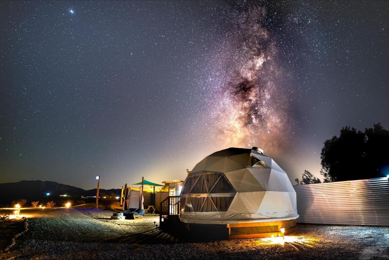 The Kosmic Tortoise Otel Twentynine Palms Dış mekan fotoğraf