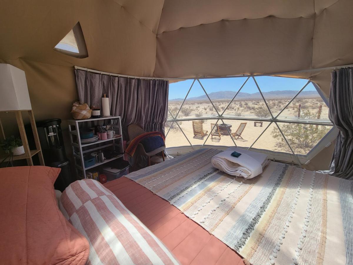 The Kosmic Tortoise Otel Twentynine Palms Dış mekan fotoğraf